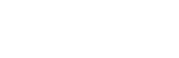 logo-bearsurfx-sm