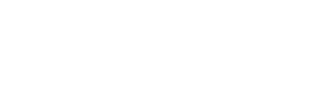 logo-bearsurfx